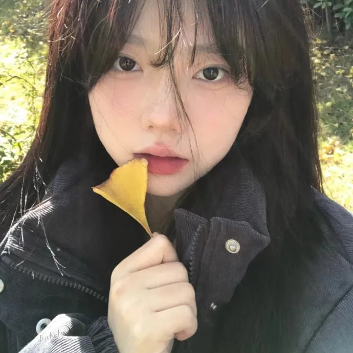 北斗星粤语 封面
